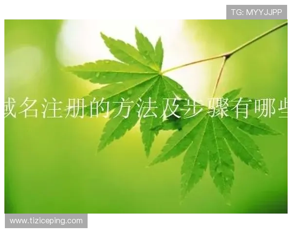 9游在线注册平台的安全保障措施及用户隐私保护策略详解