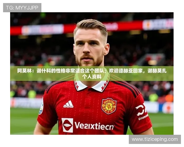 九游娱乐app赞助不莱梅h的合作背景、合作内容及双方合作的长远规划
